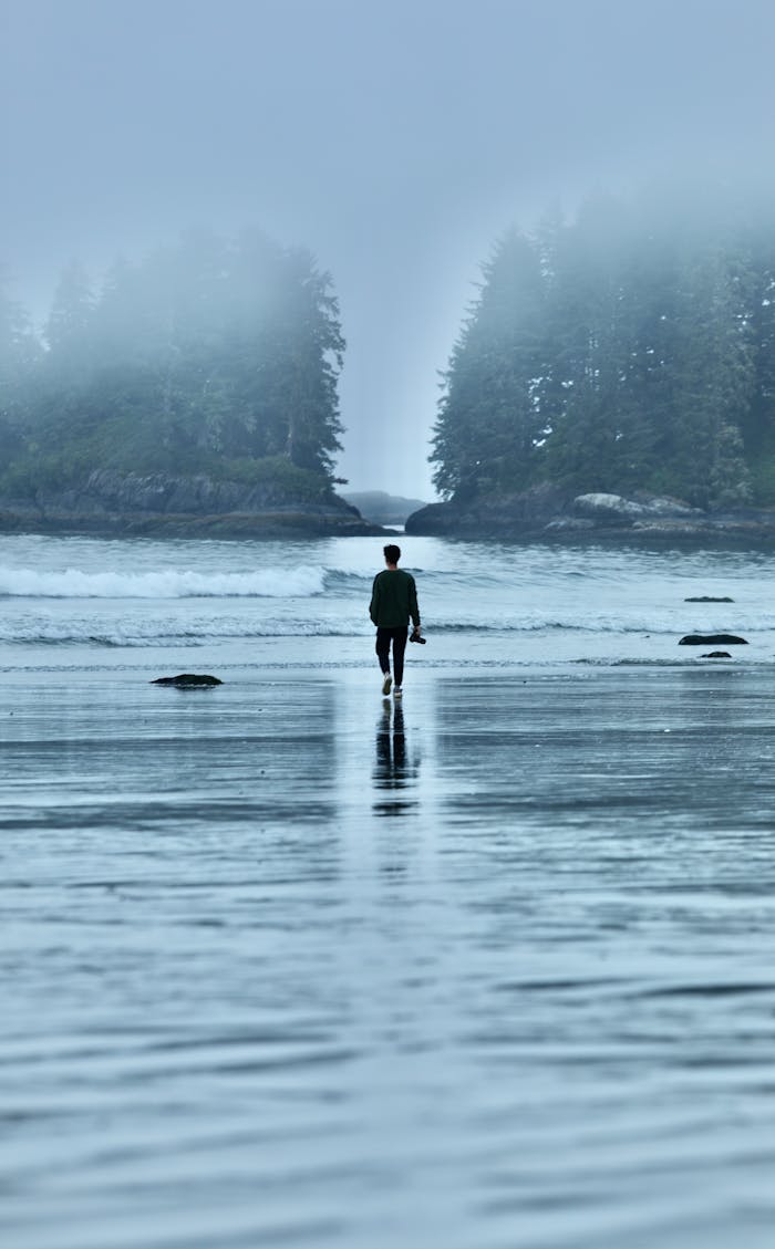 A person walks alone on a misty beach in Tofino, Canada, surrounded by serene waters and foggy trees.