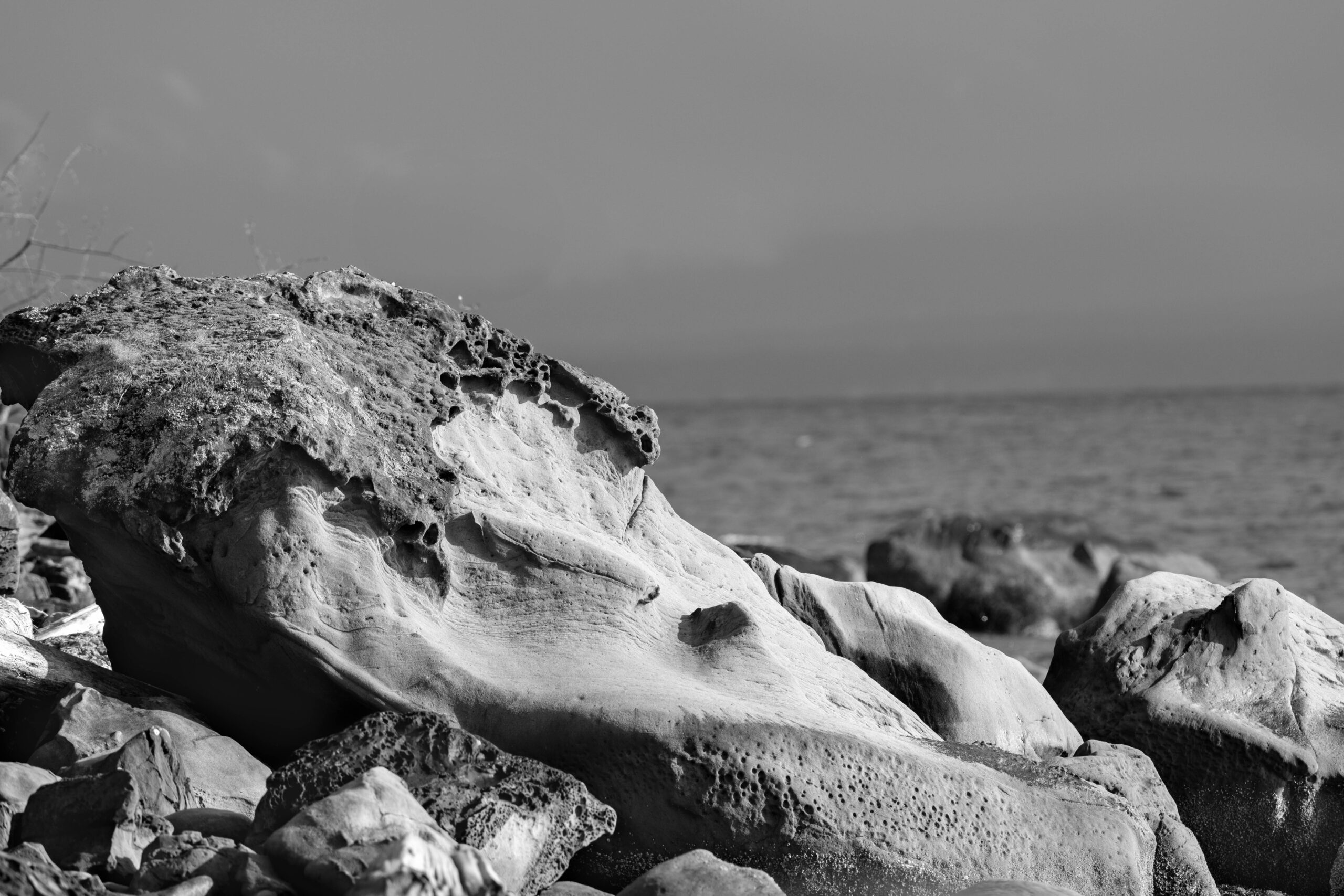 DSC_4173 - Print Ready (BW)