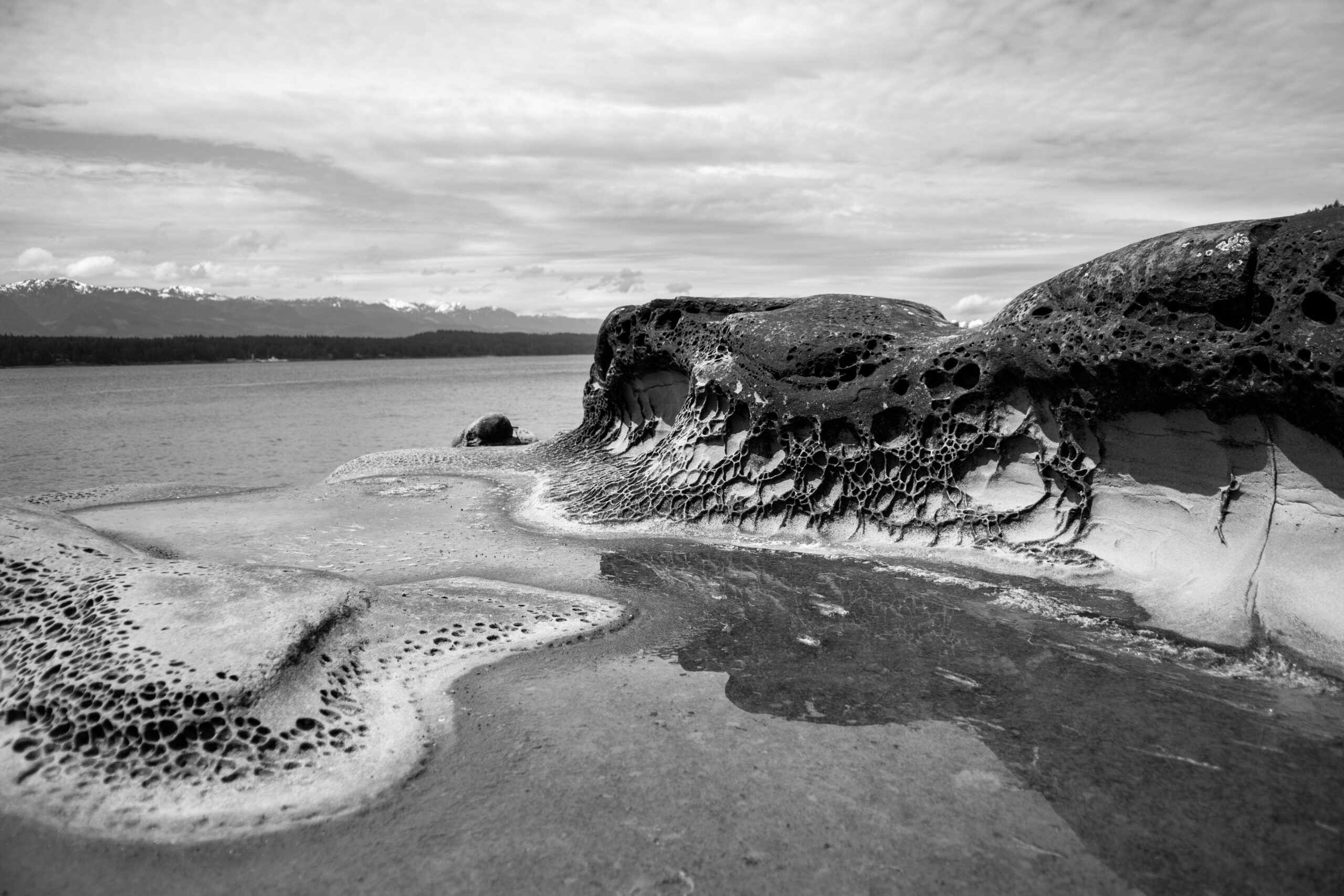 DSC_6019- - Print Ready (BW)