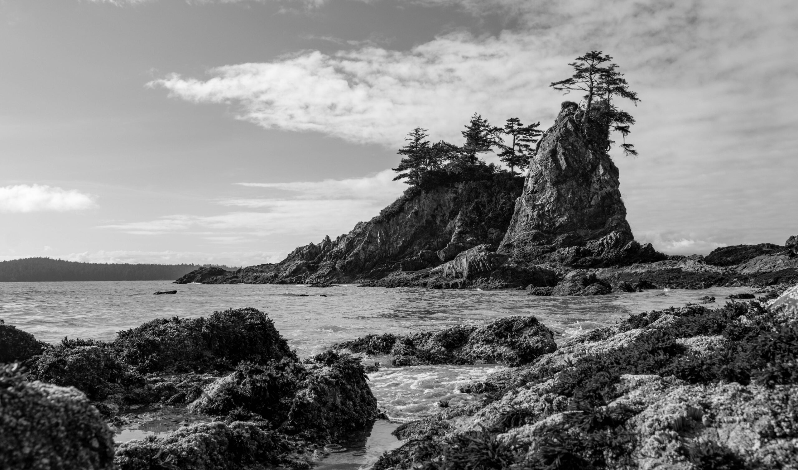 DSC_7494 - Print Ready (BW)