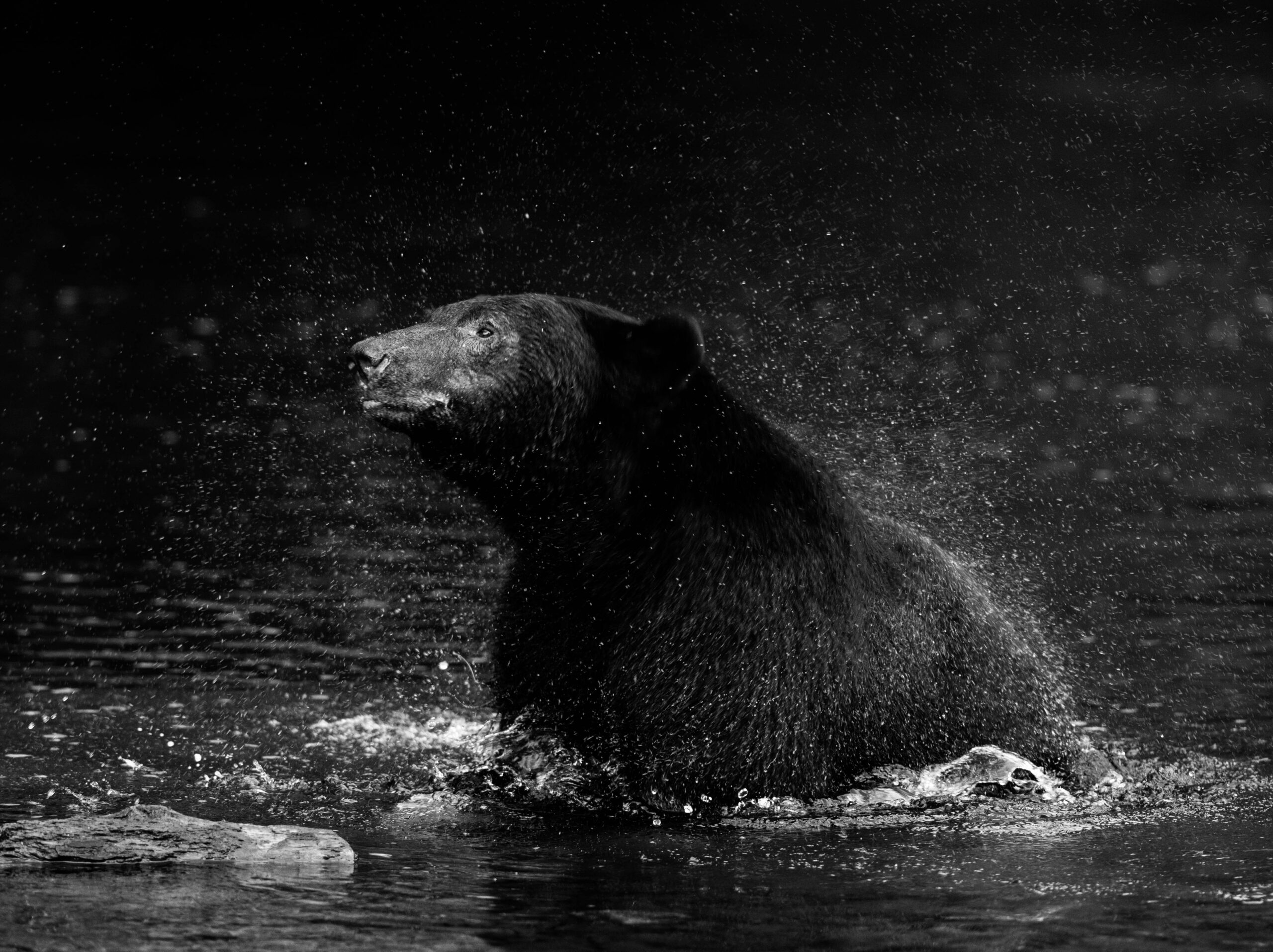 DSC_7805 - Print Ready (BW)