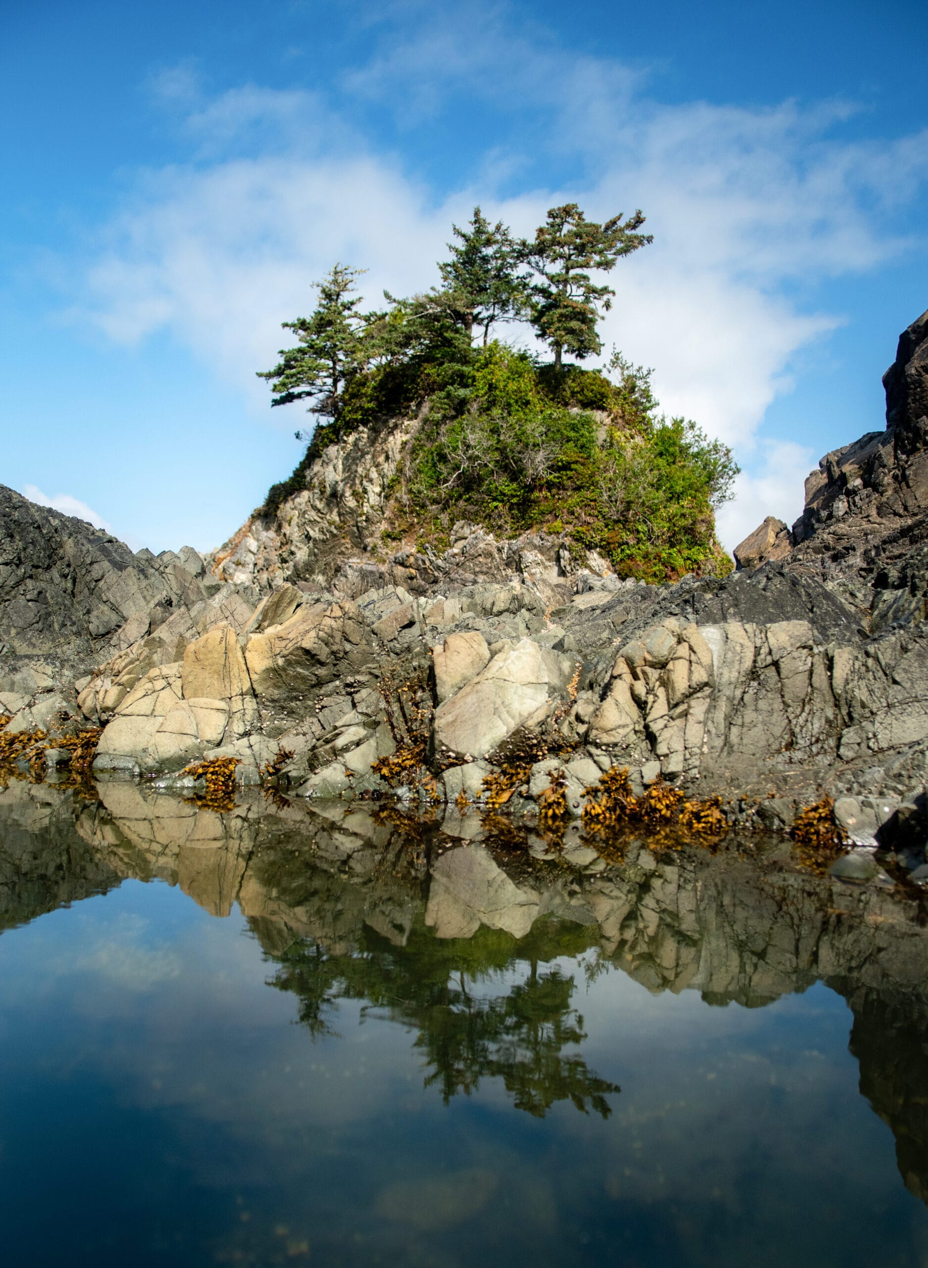Tidepool Reflections - Print Ready